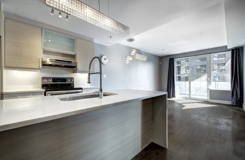 Overall view - 307-1800 Boul. Angrignon, Montréal (Lasalle), QC - Indoor Photo Showing Kitchen