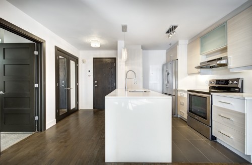 Kitchen - 307-1800 Boul. Angrignon, Montréal (Lasalle), QC - Indoor Photo Showing Kitchen With Upgraded Kitchen
