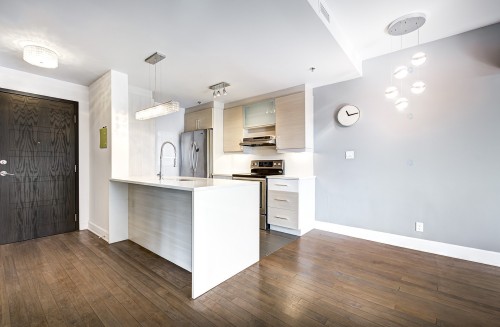 Kitchen - 307-1800 Boul. Angrignon, Montréal (Lasalle), QC - Indoor Photo Showing Kitchen With Upgraded Kitchen
