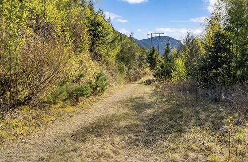 Lot 7 6 Highway, Nakusp, BC 