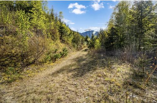 Lot 7 6 Highway, Nakusp, BC 