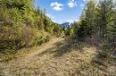 Lot 7 6 Highway, Nakusp, BC 