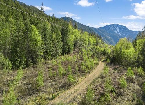 Lot 7 6 Highway, Nakusp, BC 