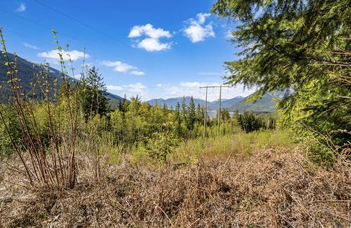 Lot 7 6 Highway, Nakusp, BC 