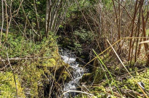 Lot 7 6 Highway, Nakusp, BC 