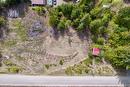 Castle Heights, Anglemont, BC  - Outdoor With View 