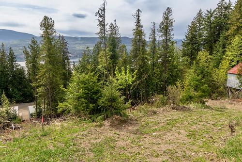 Castle Heights, Anglemont, BC - Outdoor With View