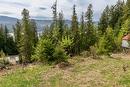 Castle Heights, Anglemont, BC  - Outdoor With View 