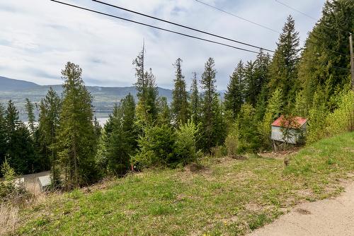 Castle Heights, Anglemont, BC - Outdoor With View