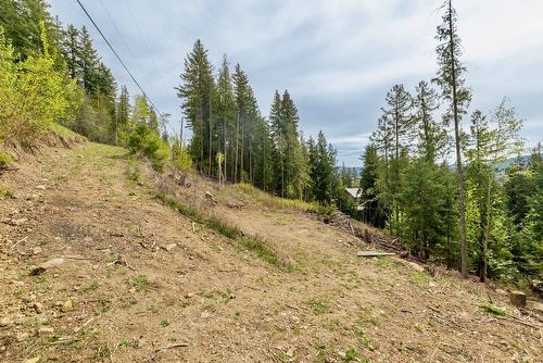Castle Heights, Anglemont, BC - Outdoor With View