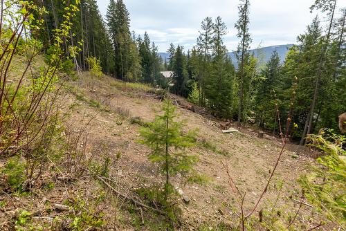 Castle Heights, Anglemont, BC - Outdoor With View