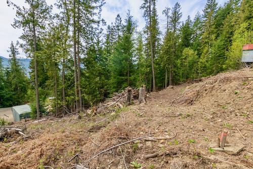 Castle Heights, Anglemont, BC - Outdoor