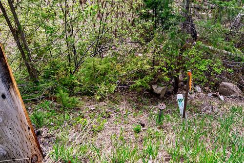 Castle Heights, Anglemont, BC - Outdoor