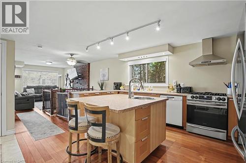 241 Guelph Avenue, Cambridge, ON - Indoor Photo Showing Kitchen With Stainless Steel Kitchen With Upgraded Kitchen