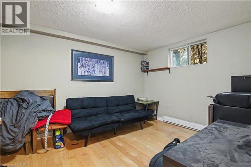 241 Guelph Avenue, Cambridge, ON - Indoor Photo Showing Living Room