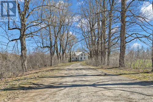 2421 BUCKWHEAT ROAD W  Edwardsburgh/Cardinal, ON K0E 1X0