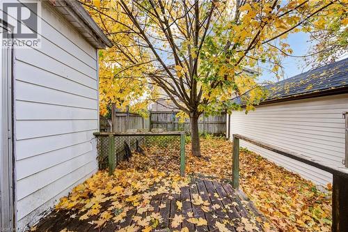 Backyard deck area featuring wood decking, a mature tree with fall foliage, and white horizontal siding on the adjacent structure - 1 Rathgar Street, London, ON - Outdoor