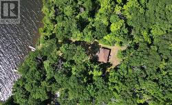 Overview - 