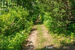 Island Trails - 