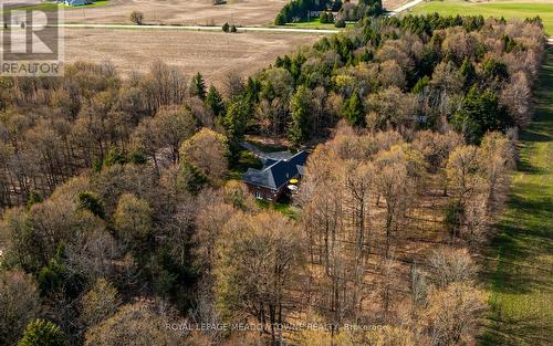 834603 4Th Line Ehs, Mono, ON - Outdoor With View