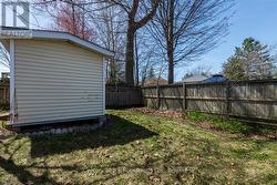 Backyard - 