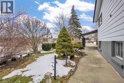Side yard featuring a concrete pathway, established evergreen trees, and perimeter fencing - 