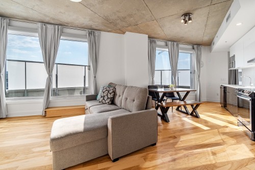 Salon - 599-4220 Rue Augustin-Frigon, Montréal (Rosemont/La Petite-Patrie), QC - Indoor Photo Showing Living Room