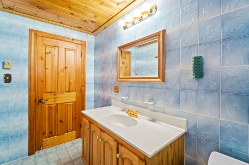 Salle de bains - 131 Rue Des Bouleaux, Entrelacs, QC - Indoor Photo Showing Bathroom