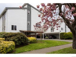 304-229 Ontario St Victoria, BC V8V 1N1