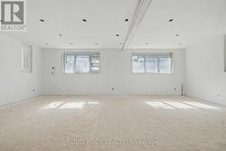 Basement Rec Room - 