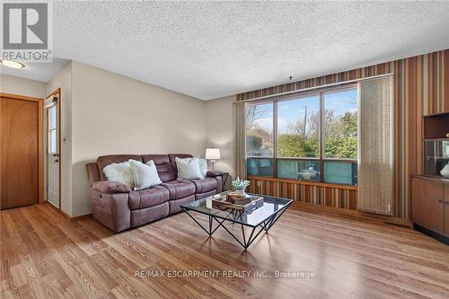 257 Queensdale Avenue E, Hamilton, ON - Indoor Photo Showing Living Room