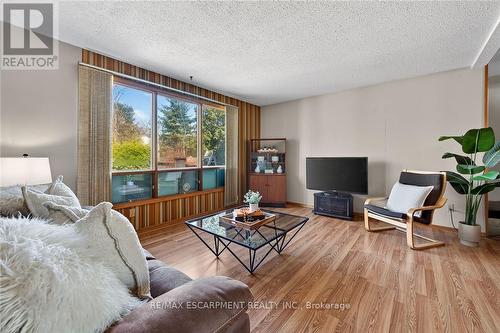 257 Queensdale Avenue E, Hamilton, ON - Indoor Photo Showing Living Room