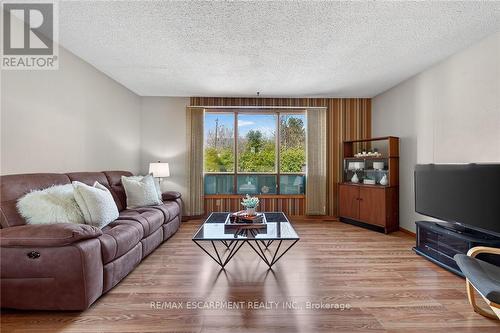 257 Queensdale Avenue E, Hamilton, ON - Indoor Photo Showing Living Room