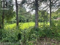 1161 EDGEWOOD Road Flamborough, ON L8B 1A1