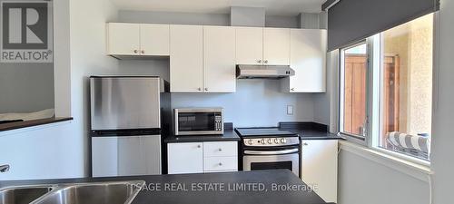 438 - 550 Front Street W, Toronto, ON - Indoor Photo Showing Kitchen With Double Sink