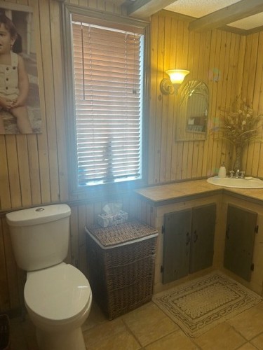 Salle d'eau - 164 Ch. Du Lac-Noir, Saint-Jean-De-Matha, QC - Indoor Photo Showing Bathroom