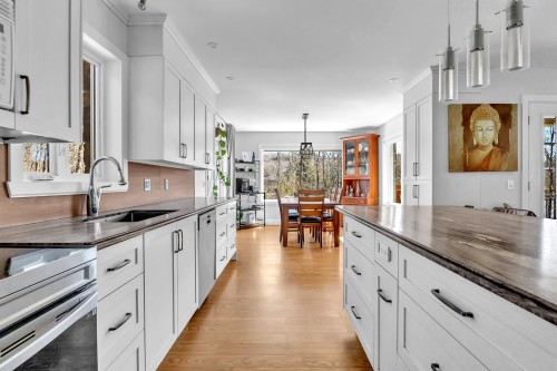 Cuisine - 35 Rue Des Érables, Saint-Sixte, QC - Indoor Photo Showing Kitchen With Double Sink With Upgraded Kitchen