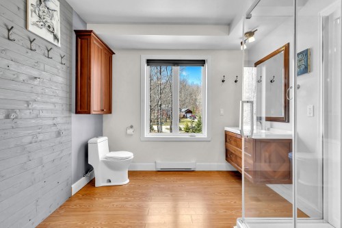 Salle de bains - 35 Rue Des Érables, Saint-Sixte, QC - Indoor Photo Showing Bathroom