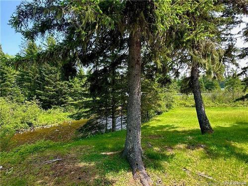 2 North Ridge Rd, Juniper, NB 