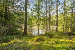 3383 Lakeridge Pl Highlands, BC V9E 1C8