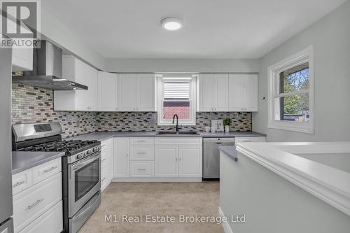 96 Siebert Avenue, Kitchener, ON - Indoor Photo Showing Kitchen With Upgraded Kitchen