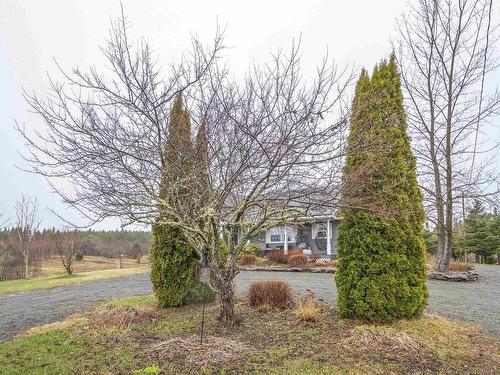 2897 Highway#7, Ashdale, NS 