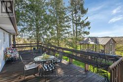 Backyard - 