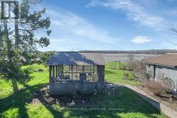 Backyard - 