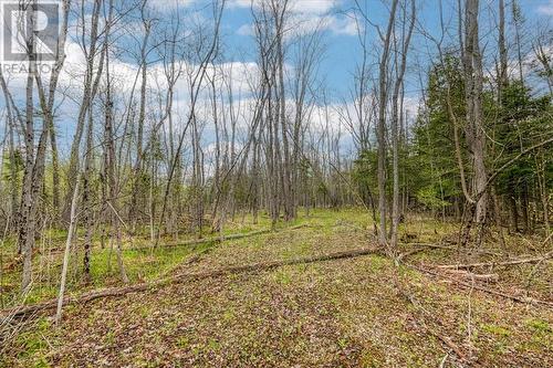 30 Lilly Crescent, Billings, ON 