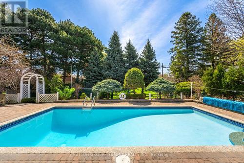 3 Donata Drive, Mississauga, ON - Outdoor With In Ground Pool With Backyard