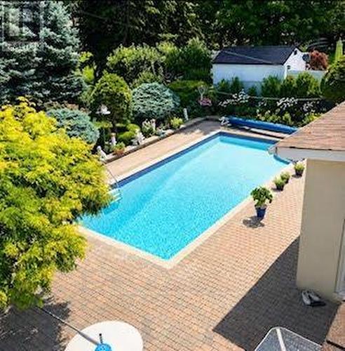 3 Donata Drive, Mississauga, ON - Outdoor With In Ground Pool With Backyard
