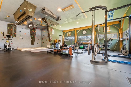 9658 Second Line, Milton, ON - Indoor Photo Showing Gym Room
