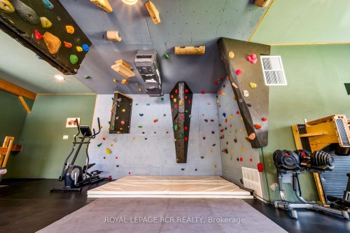 9658 Second Line, Milton, ON - Indoor Photo Showing Gym Room
