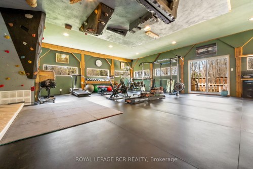9658 Second Line, Milton, ON - Indoor Photo Showing Gym Room